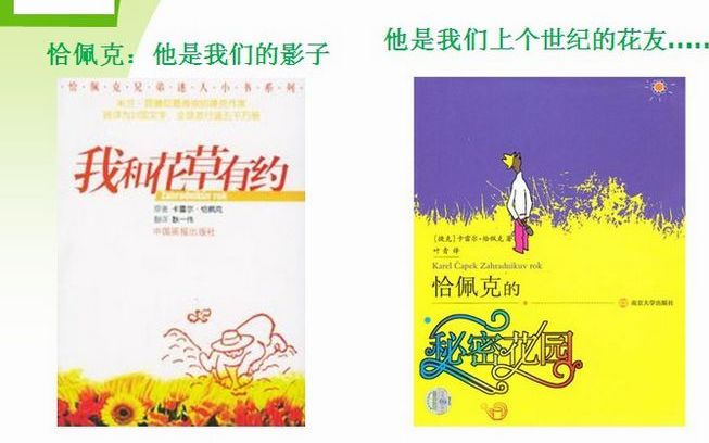 青青谜语论坛免费资料大全，海量谜题等你来猜，趣味互动乐在其中，每日更新惊喜不断