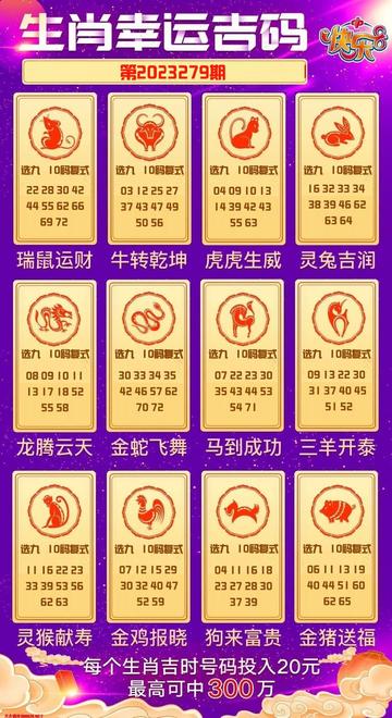 新澳门一肖一马一试一中下一期预测，精准分析生肖走势，结合历史数据深度解读，助您把握最佳投注时机