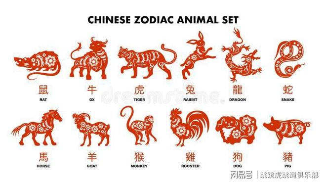 刘伯温黄大仙三肖三码的下一期预测一，精准解析生肖玄机，独家揭秘中奖规律，助你轻松斩获大奖