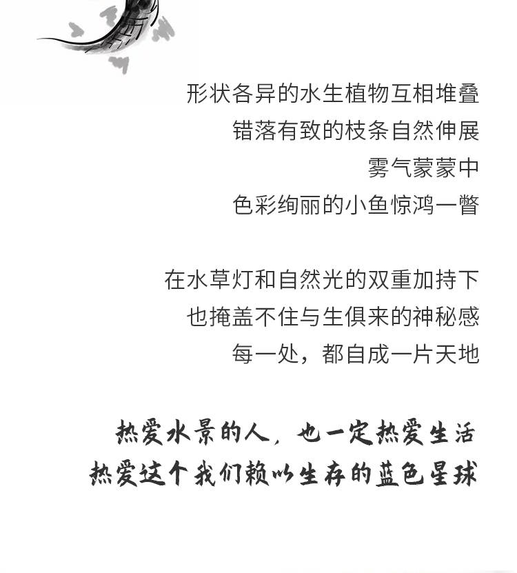 2.使用3个中文逗号自然分隔成4个短句