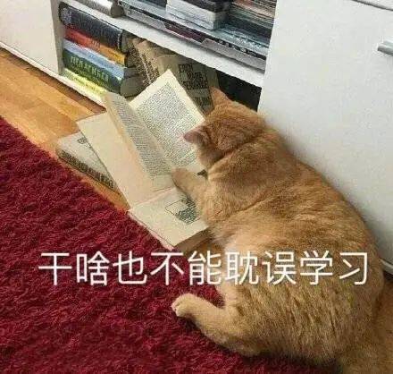 "新澳管加婆100迷话"文化主题