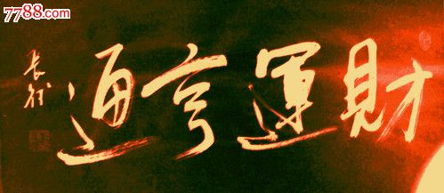 1.新奥特一肖预测精准分析，生肖运势一目了然，助您把握良机，财运亨通步步高
