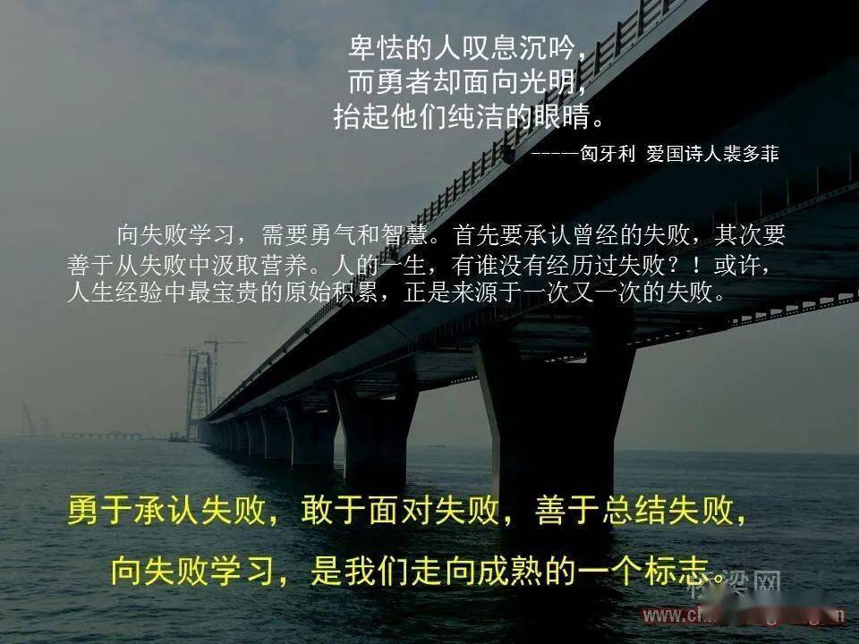 今晚出兔下一期预测，万众期待结果揭晓，高手分享独到见解，助你把握财富机遇