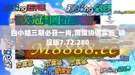 494949今晚开奖结果哪里看，白少姐资料查询方法详解，权威渠道实时更新，精准答案一键获取