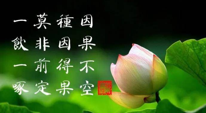 大三巴生肖预测准不准，众说纷纭争议多，游客慕名来体验，结果因人而异难定论
