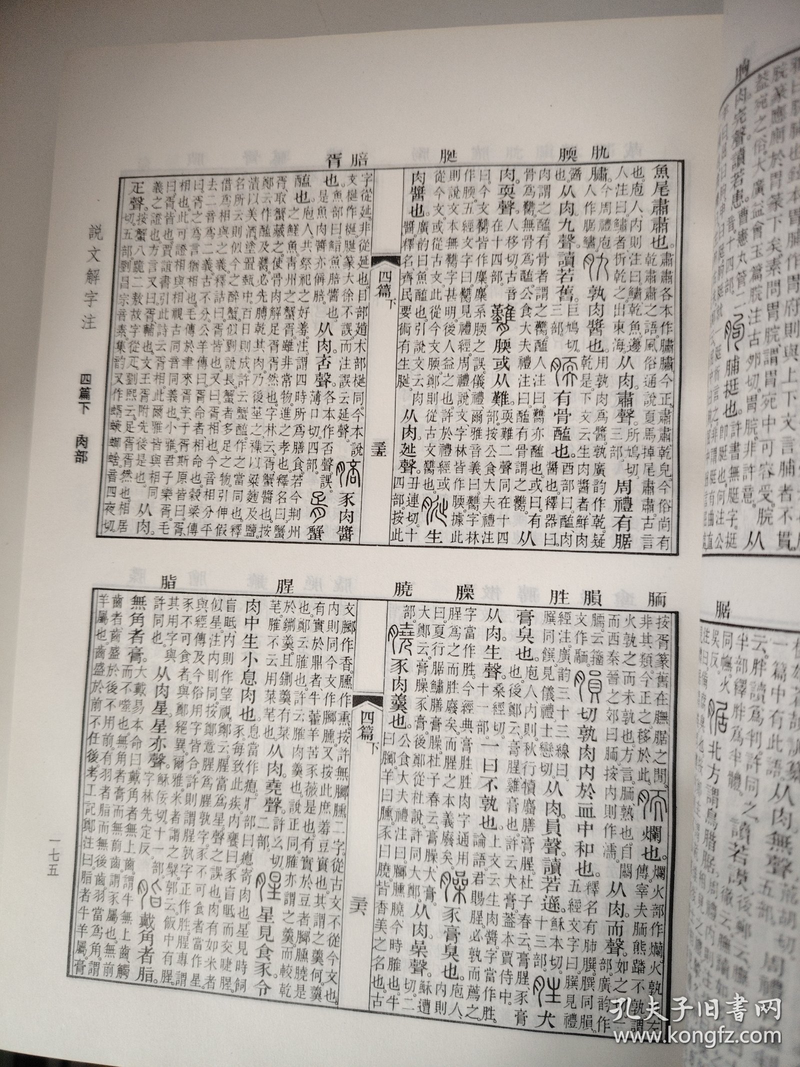 （注：根据要求调整如下）