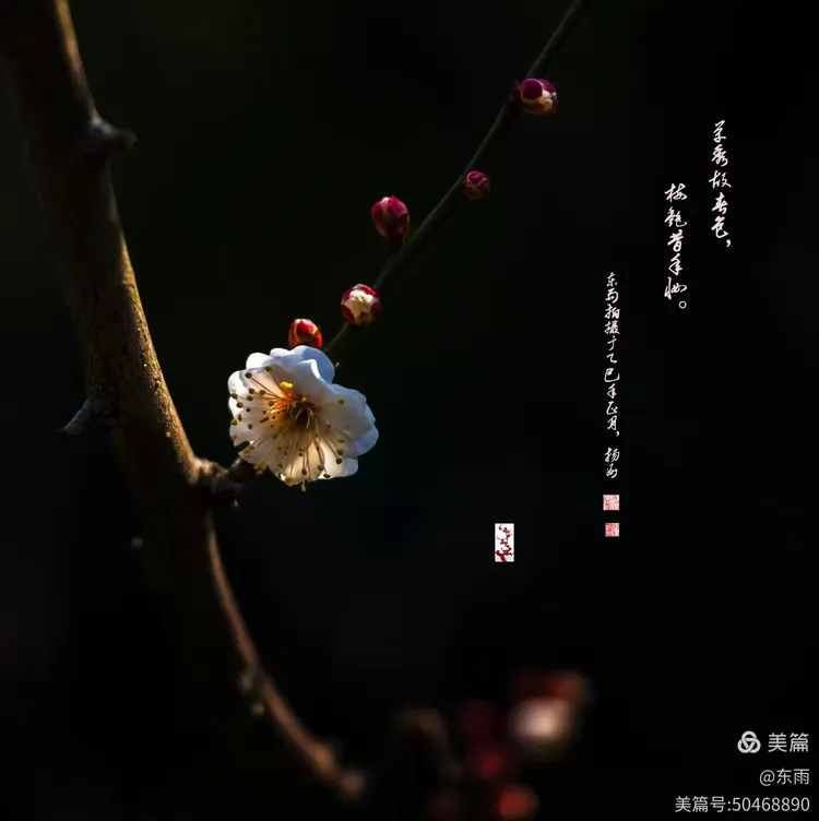夜香阁性事揭秘，深巷暗香浮动，红烛摇曳生姿，缠绵悱恻到天明