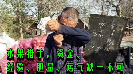 大三巴一肖一特中奖概率揭秘，玩法规则简单易懂，奖金丰厚吸引玩家，运气技巧缺一不可