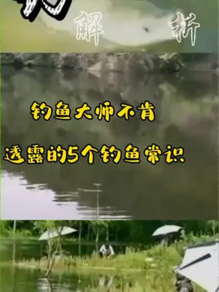 管家婆三期必开一期精准预测白蛇传60，民间高手分享独家技巧，稳赚不赔轻松赢大奖，快来学习最新攻略秘籍
