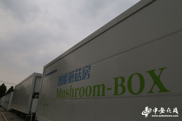 安徽艺河智能活动坝科技有限公司，专注水利智能装备研发，创新活动坝技术领先行业，服务全国水利工程建设与生态治理