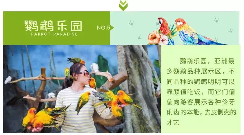 新奥门天天精谁，探寻美食新地标，品味独特澳门风情，开启舌尖上的奇妙之旅