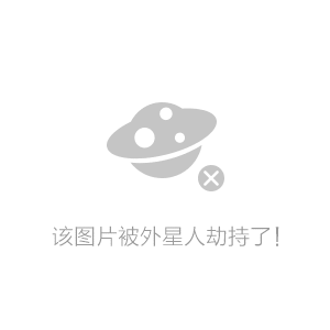 11133,Com，轻松访问优质资源，海量内容随心浏览，畅享便捷网络体验