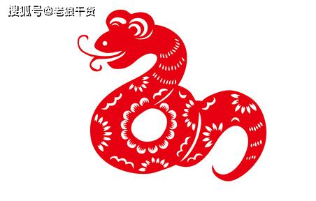 家婆一肖一码生肖预测,精准解析十二生肖运势,助您把握流年机遇,财运桃花双丰收 家婆一肖一码生肖预测,精准解析十二生肖运势,助您把握流年机遇,财运桃花双丰收