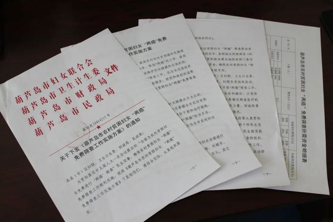 2025新澳门免费挂牌，喜迎八方宾客到来，璀璨明珠绽放异彩，共谱繁荣发展新篇
