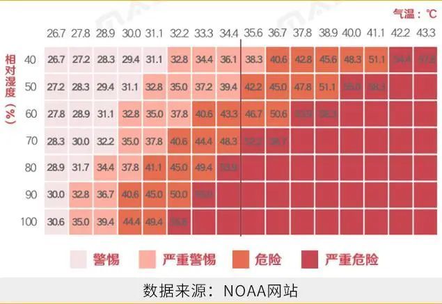 5.总字数在20-45范围内）