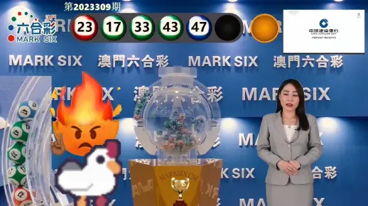 九龙网澳门码资料com提供精准数据，涵盖澳门各大彩种，专业分析助您决策，最新资讯一手掌握