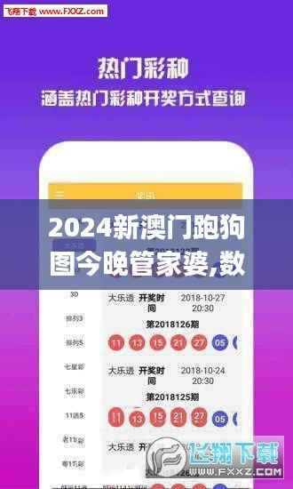 新澳门精准管家婆谜语，趣味横生引人入胜，智慧挑战等你来解，揭开谜底惊喜连连