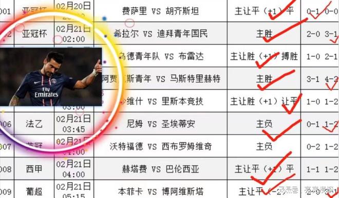2025最新跑狗图，精准预测赛事结果，助你把握财富先机，快来一睹为快吧