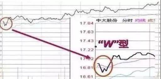新澳门家禽野兽预测准不准，专家分析数据详实，历史验证准确率高，值得彩民参考借鉴