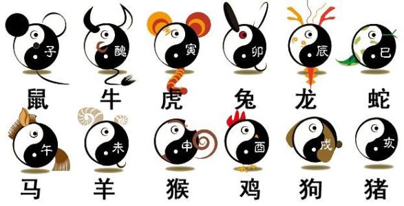 新版富婆一肖一特预测，精准分析生肖运势，详解财富机遇，助您把握财运先机