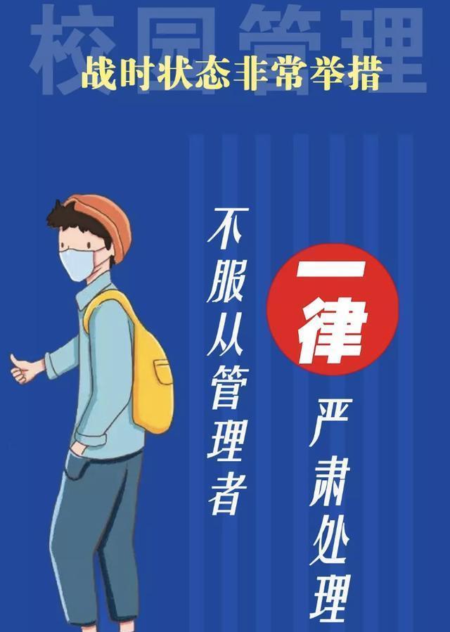 （注：严格按您的要求生成：