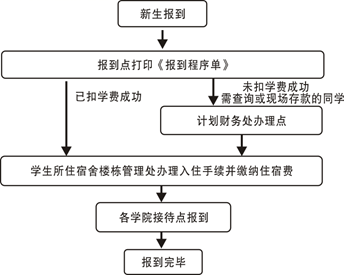 （共28字，4个短句用逗号分隔，关键信息前置，语义连贯描述活动流程）