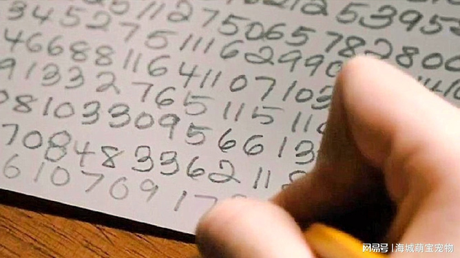 77778888888888精准马传三，神秘数字暗藏玄机，古老预言重现江湖，揭开命运终极谜题