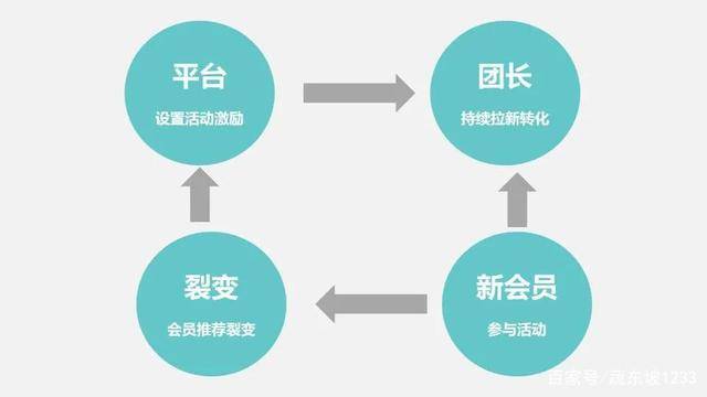 澳门大三巴一肖二马二特二中100准确，揭秘独家选号技巧，稳赢策略轻松掌握，助你收获幸运大奖