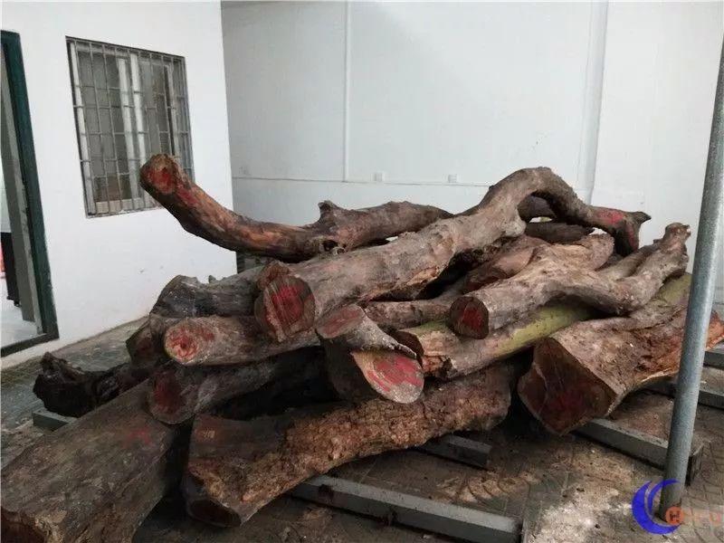 铁算算盘资料免费公开，涵盖古今计算方法大全，助力财务人员提升效率，欢迎各界人士下载使用