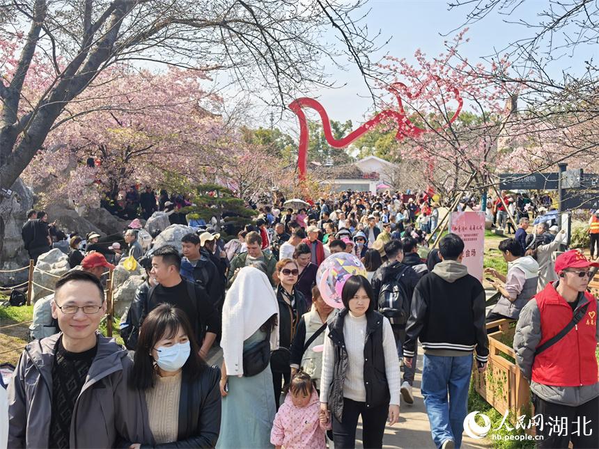 澳门大三巴一肖一特免费，游客纷至沓来，感受历史与幸运交织，共赏独特文化魅力