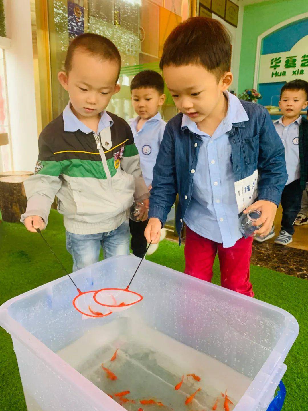 《生肖谜语答案大全》十二属相藏玄机，谜底趣味乐无穷，智慧解谜显神通