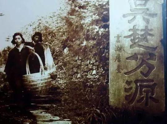 澳门大三巴一肖中特，揭秘生肖运势玄机，漫步历史遗迹寻彩头，幸运降临就在此刻