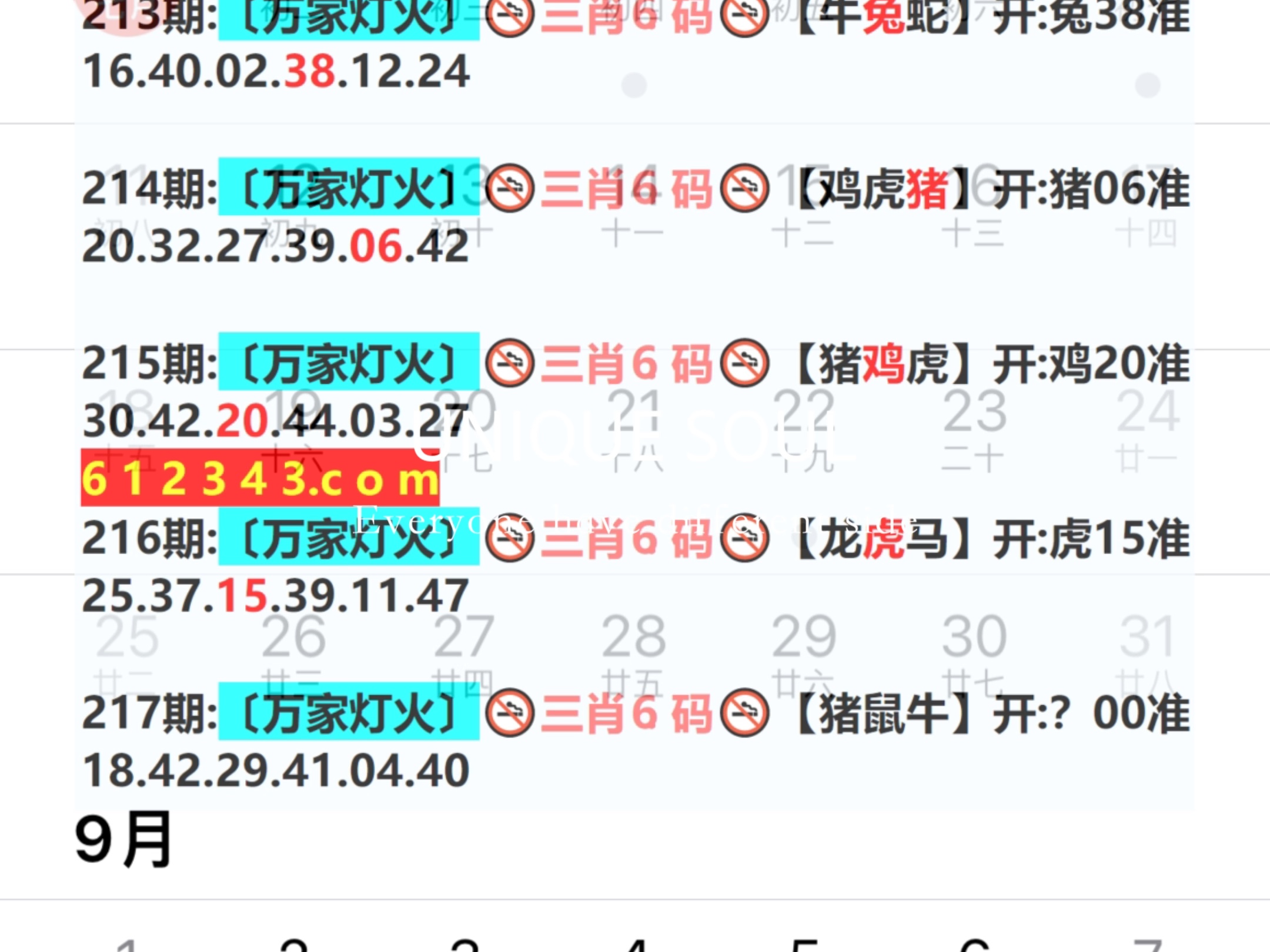 新奥门三期内必中一期资料，精准预测分析，独家技巧分享，助您轻松赢大奖
