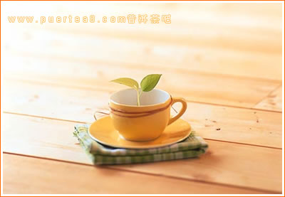 夜香阁，暗香浮动月黄昏，一盏清茶伴古卷，千年风雅入诗魂