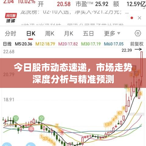 澳门一肖一马最新预测，精准分析今日走势，权威专家深度解读，助您把握最佳投注时机