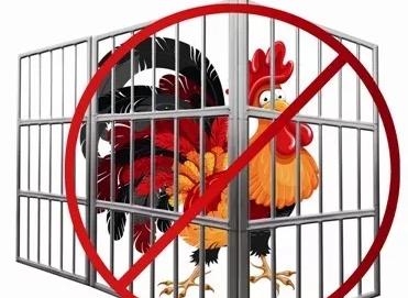 新澳门最新家禽野兽预测结果出炉，权威数据揭示市场走向，精准分析助力投资决策，行业趋势尽在掌握之中