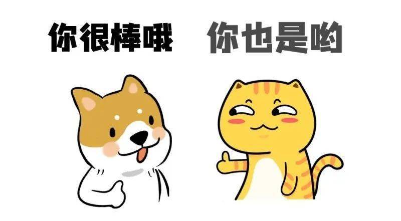 今晚特打一生肖预测，谜底揭晓在即，十二生肖谁将中选，快来一探究竟