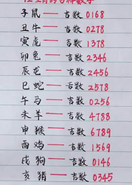 澳门三一肖一码谜语大全，精选百种趣味谜题，涵盖生肖数字玄机，助你轻松破解谜底乐趣