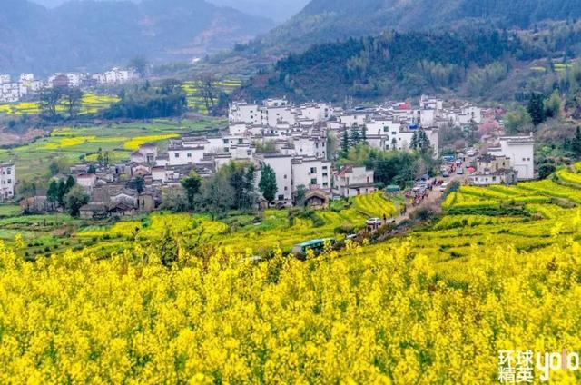 2025新澳芳草地最新活动璀璨启幕，春日限定花海盛景惊艳绽放，亲子互动乐园欢乐升级，星空露营派对浪漫来袭