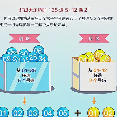 澳门大三巴一肖一特中官网入口，提供精准彩讯服务，涵盖丰富玩法指南，助您轻松掌握投注技巧