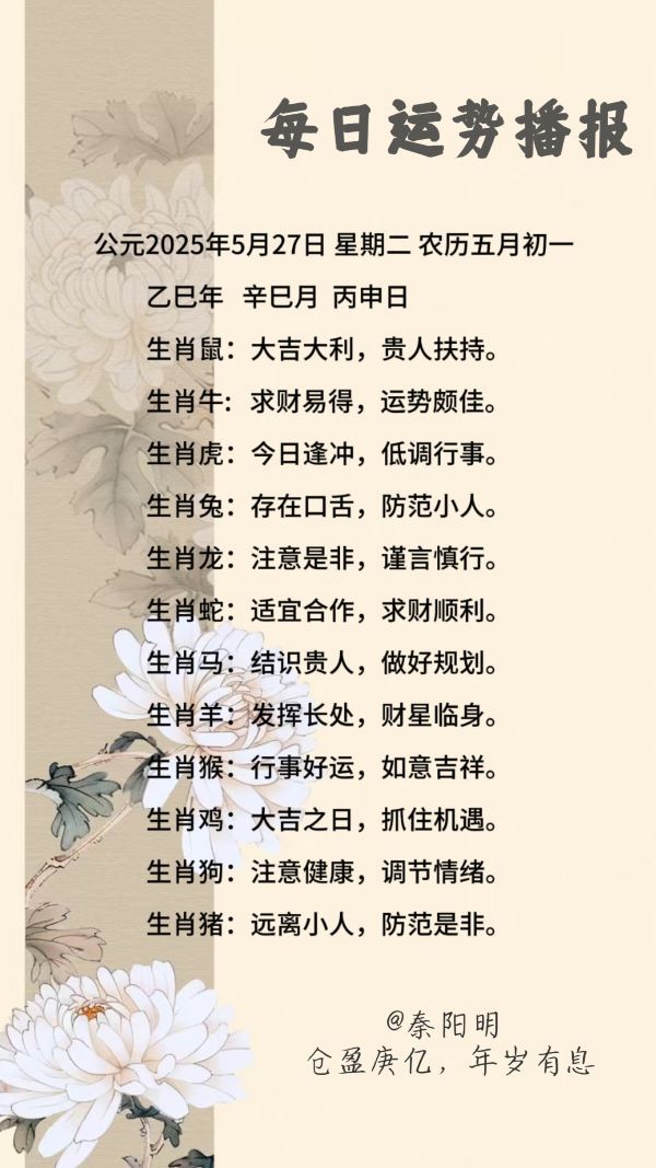 今期生肖二五开最佳答案，二五组合运势旺，把握时机赢大奖，幸运数字莫错过