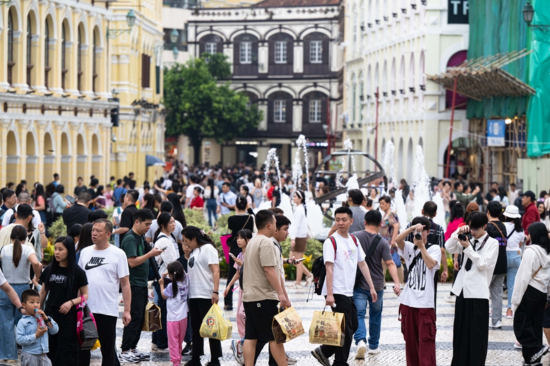澳门大三巴一肖一码一中官网，提供精准生肖彩讯，权威数据实时更新，助您轻松掌握开奖动态