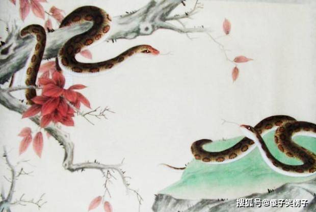 "比属蛇人智商还高的生肖，天生聪慧过人，洞察力敏锐非凡，处事圆融堪称智多星，十二生肖中独占鳌头"