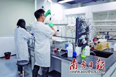 澳门三中三研究生网站，汇聚学术精英，提供前沿资讯，助力科研创新