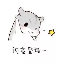 今晚特打一生肖预测，谜底揭晓在即，十二生肖谁将中选，快来一探究竟