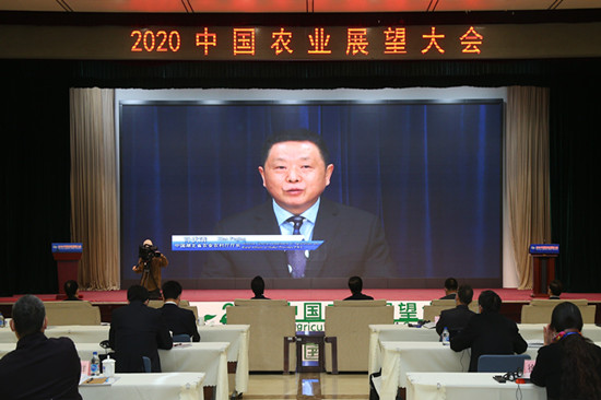 海外侨商齐聚盛会，海外社团共襄盛举，侨界青年畅谈未来，热情致辞展望宏图